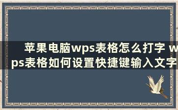 苹果电脑wps表格怎么打字 wps表格如何设置快捷键输入文字